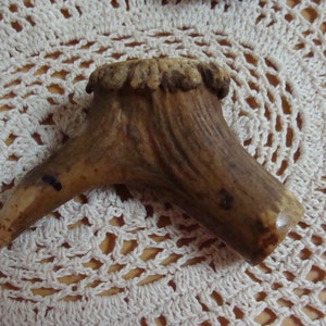 Può includere: Un manico in corno di cervo marrone con una superficie ruvida e testurizzata. Il corno è curvo e ha una punta appuntita.