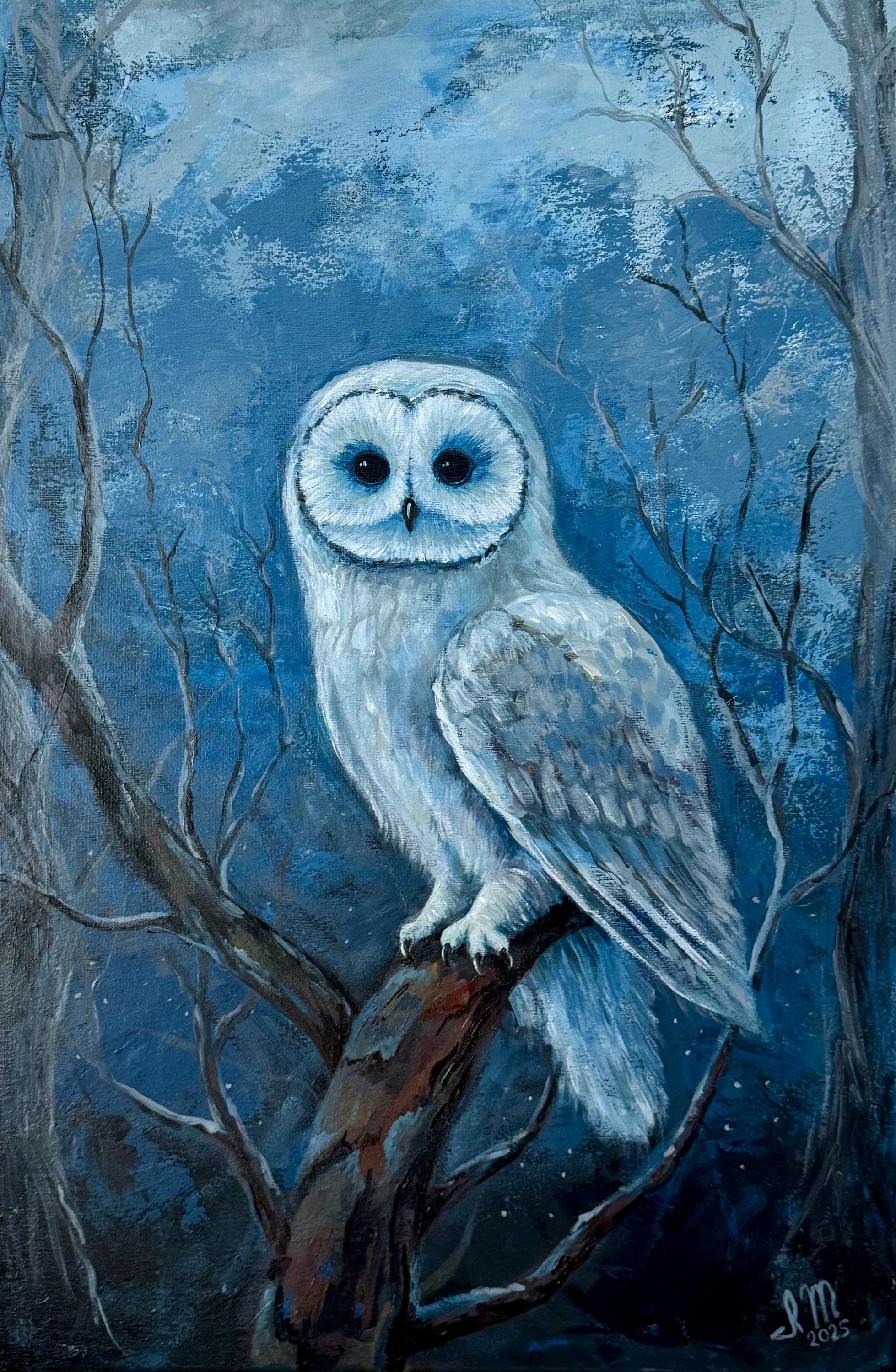 Original Owl Canvas Painting, Hand Painted Ready to Hang Artwork, Canvas Wall Decor, Wall Art Origin