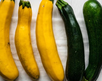 Courgette MIXED PACK Plug Plants "Grow Your Own" Fruit ‘Ready to Plant Now’ Yellow Green
