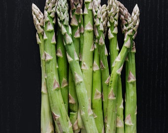 Asparagus Plug Plants "Grow Your Own" Vegetables **LETTERBOX FRIENDLY**
