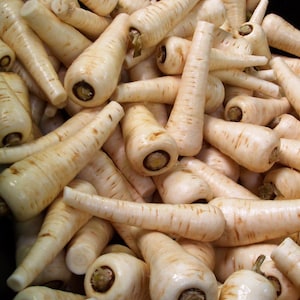 May include: A close-up image of a pile of parsnips. The parsnips are a pale cream colour and have a rough, textured skin. They are arranged in a random pattern, with some of the parsnips overlapping each other.