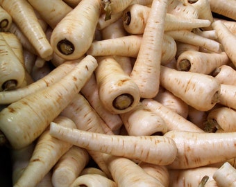 May include: A close-up image of a pile of parsnips. The parsnips are a pale cream color and have a rough, textured skin. They are arranged in a random pattern, with some of the parsnips overlapping each other.