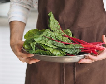 Swiss Chard Red Plug Plants - “Grow Your Own” Vegetable Roots **LETTERBOX FRIENDLY**