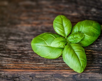 May include: Close-up of fresh green basil leaves on a rustic, dark brown wooden surface. The leaves are vibrant and healthy, showcasing their natural texture and color. The image highlights the herb's freshness and culinary appeal.