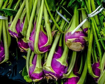 Kohl Rabi Red Plug Plants "Grow Your Own" Vegetables **LETTERBOX FRIENDLY**