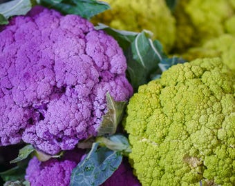 Cauliflower Plug Plants MIXED PACK "Grow Your Own" Vegetables White Green Purple Orange Romanesco