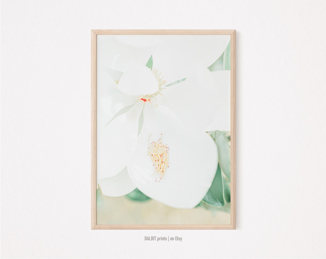 Minimalist Flower Wall Art, Magnolia Flower Print, Minimalist Wall Art