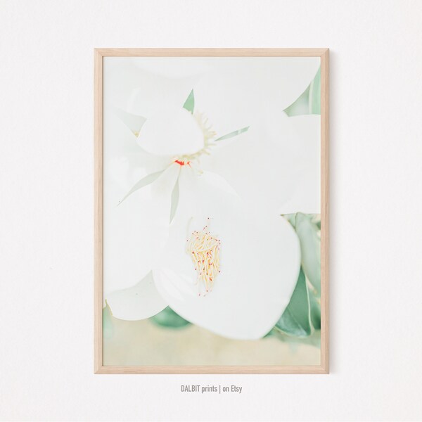 Minimalist Flower Wall Art, Magnolia Flower Print, Minimalist Wall Art, Floral Printable Wall Art,  Botanical Photography, Botanical Poster