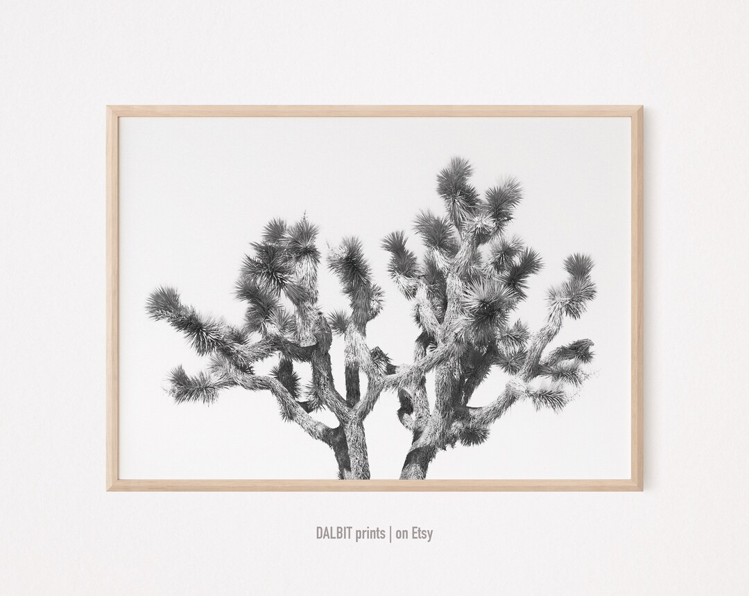 Joshua Tree Wall Art, Black and White Art, Desert Wall Art, Joshua Tree