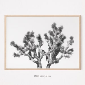 Arte de pared de árbol de Josué, arte en blanco y negro, arte de pared del desierto, decoración de pared bohemia con impresión de árbol de Josué, arte de pared imprimible, arte de pared ancho, arte digital
