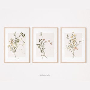 Juego de 3 impresiones de flores silvestres, arte de pared de 3 piezas de flores silvestres, arte de pared de flores silvestres en acuarela, impresiones digitales de flores silvestres, impresiones descargables