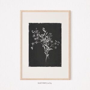 Botanische Sammlung: Schwarz-Weiß-Blumendrucke, Schwarz Botanische Drucke, Natur inspirierte schwarze Wanddekoration, Wildblumen Blumenkunstdruck