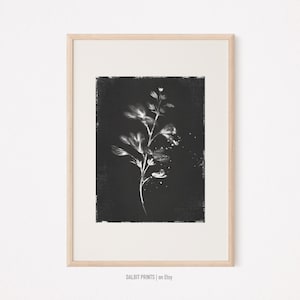 Botanische Sammlung: Schwarz-Weiß-Blumendrucke, Schwarz Botanische Drucke, Natur-inspirierte Schwarz-Wand-Dekor, Schwarz-Wildblumen-Kunstdruck