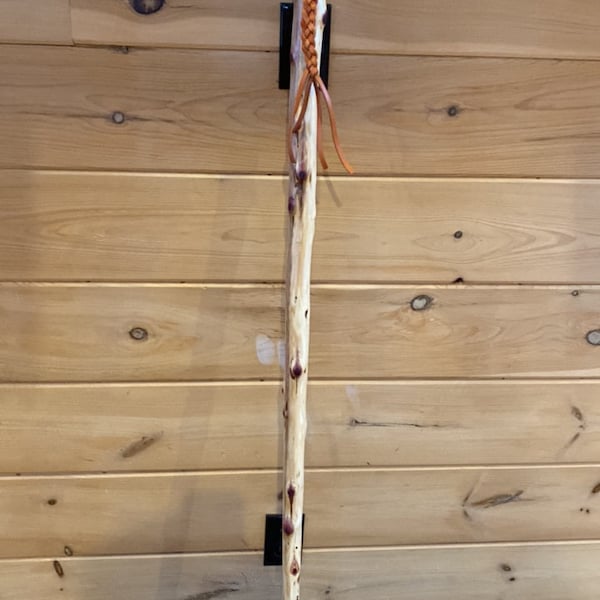 Custom made Appalachian Trail Hiking Stick, 38 to 60 inches tall, walking stick/cane/hiking poles