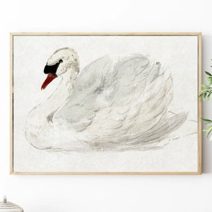 Swan Painting Birds Vintage Art Print Animals Art Bedroom Nursery Vintage Wall Art White Swan Vintage Painting White Swan Wall Artwork