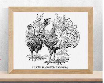Roosters Vintage Sketch Print Country Roosters Print Graphic Roosters Art Countryside Painting Farmhouse Wall Decor Roosters Liner Wall Art