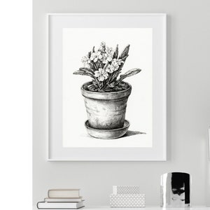 Puede incluir: Dibujo en blanco y negro de una planta en maceta con flores blancas. La planta está en una maceta de terracota con un platillo. El dibujo está enmarcado en un marco blanco.