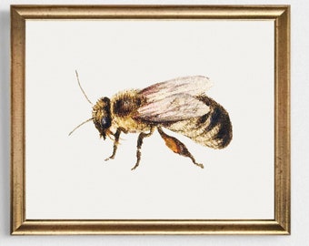 May include: A framed watercolor painting of a bee with brown and black stripes and translucent wings. The bee is in flight and has a light brown body with orange accents.
