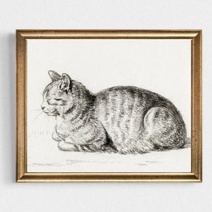 Cat Painting Vintage Drawing Print Sleeping  Kitten Vintage Sketch Art Print-Vintage Animals Sketch Print Cat Sketch Print Cat Graphic Print