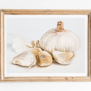 Garlic Still Life Art Print: Vintage Kitchen Vegetable Painting