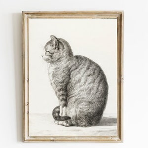 Vintage Cat Sketch Print: Antique Jean Bernard Drawing