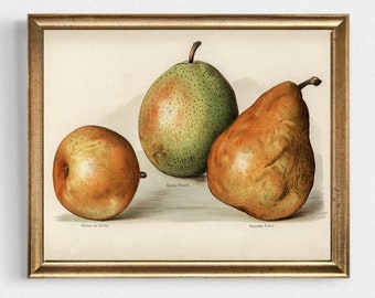 Pears Still Life Painting: Vintage Fruit Kitchen Wall Art Print