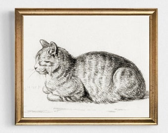 Vintage Cat Sketch Print: Sleeping Kitten Drawing