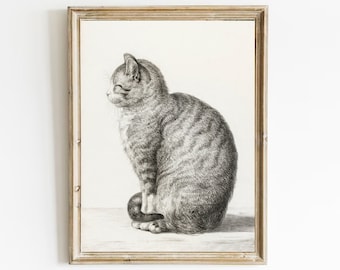 Vintage Cat Sketch Print: Antique Jean Bernard Drawing