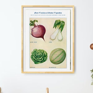 Vintage Vegetable Sketch Print: Watercolor Kitchen Wall Decor