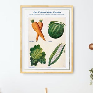 Vegetable Carrot Watermelon Corn Print-Garden Vegetable Print-Vintage Vegetable Drawing-Antique Vegetable Sketch-Kitchen Farmhouse Wall Art