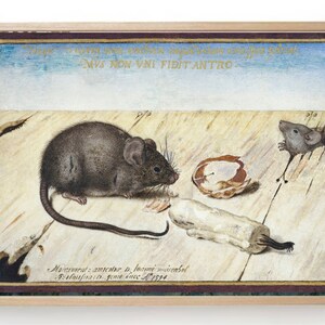 Antike Kunstdruck von Mäusen und Kerze, Tiere im Vintage-Stil - mit Kerze und Maus Antikes Wandbild für Bauernhaus und Kinderzimmer