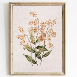 Vintage Floral Art Print: Botanical Kitchen Wall Decor