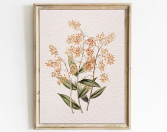 Vintage Floral Art Print: Botanical Kitchen Wall Decor