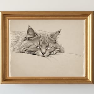 Sleeping Cat Painting Kitten Sketch Vintage Style Drawing Cute Cat Pencil Painting Sleeping Animal Print Pets Portrait Animals Lovers Gifts