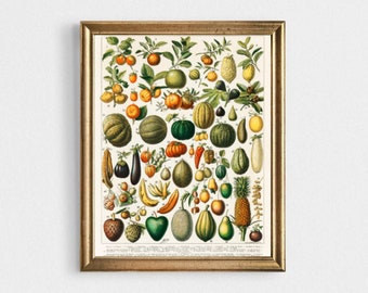 Fruit and Vegetable Painting Vintage Botanical Art Print Different Fruit and Vegetable Large Poster Kitchen Wall Art Farmhouse Wall Decor