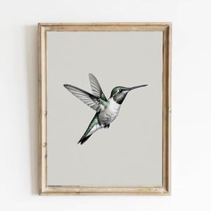 Hummingbird Painting Bird Vintage Style Art Print Hummingbird Sketch Small Bird Drawing Birds Lovers Gifts