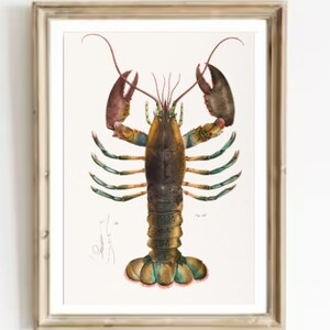 Lobster Painting American Lobster Vintage Art Print Lobster Wall Art Still life with Lobster Print Kitchen Wall Art Sea Crab Vintage Print
