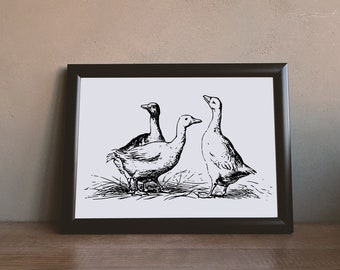 Vintage Enten und Gänse Skizze Print: Bauernhaus Wandkunst