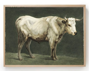 Kunstdruck eines Stiers: Vintage Tier Ölgemälde vom Land