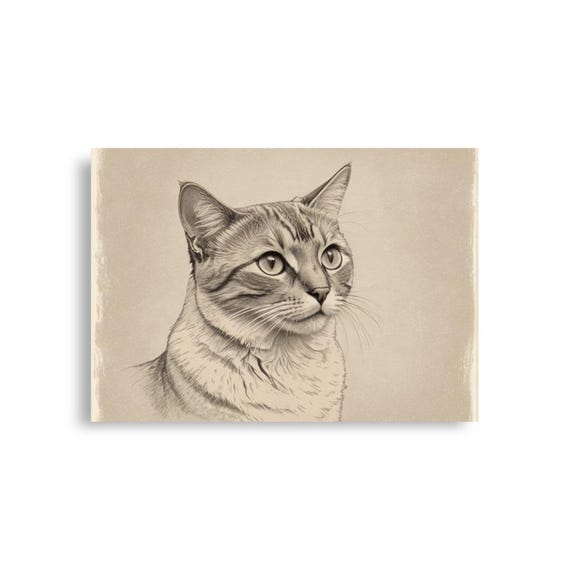 猫の鉛筆画 フレーム付き 【公式通販】