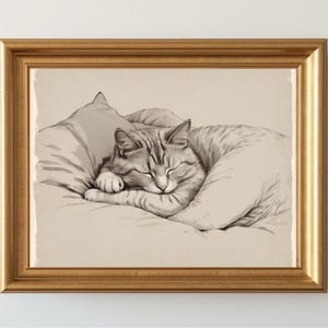 Sleeping Cat Drawing Kitten Sketch Vintage Style Cute Cat Pencil Painting Sleeping Animal Art Print Pets Portrait Animals Lovers Gifts