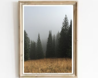 Impresión de bosque de pinos brumosos-Impresión de paisaje de bosque de pinos panorámico-Impresión de paisaje de montaña-Impresión de pinos y praderas-Paisaje de campo y árboles
