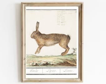 Vintage Rabbit Art Print: Antique Country Animal Giclée