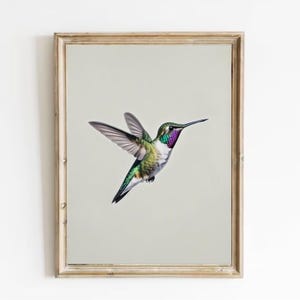 Hummingbird Painting Bird Sketch Art Print Vintage Style Drawing Wall Art Small Bird Artwork Birds Lovers Wall Decor