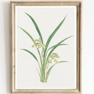 Orchid Vintage Print-Flowers Orchid Antique Watercolor Art-Orchid Vintage Print-Botanical French Country Art Print-Antique Flowers Art Print