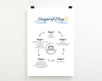 Stages of Sleep, Cycle of Sleep, Therapist Prints, Psychology Poster, Educational Prints, Sleep Therapy, Insomnia Work, Therapy Tools