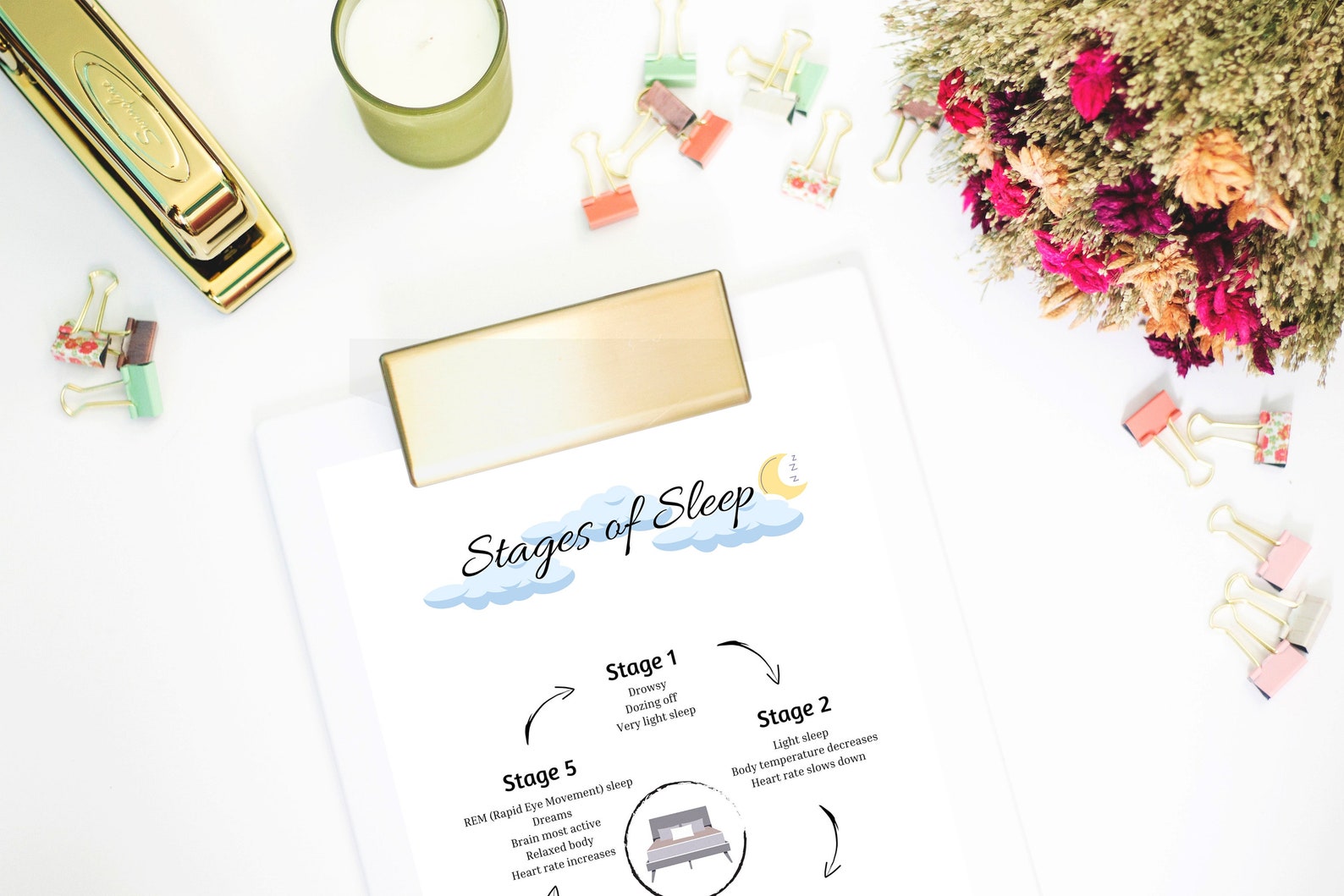 Stages of Sleep, Cycle of Sleep, Therapist Prints, Psychology Poster ...
