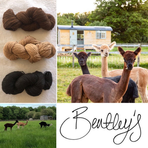 Bentleys Alpaca Yarn 100% Undyed from Aramis, Buster & Columbus our 3 lovely alpacas!