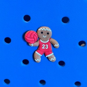 May include: A gingerbread man wearing a red jersey with the number 23 on it, holding a red basketball. The gingerbread man is brown with white icing details and a smiling face.