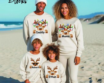 Reindeer Family Christmas Sweatshirt,Personalized Christmas Family Sweatshirt,Custom Family Name Sweatshirt, Gift For Christmas, Gift Family